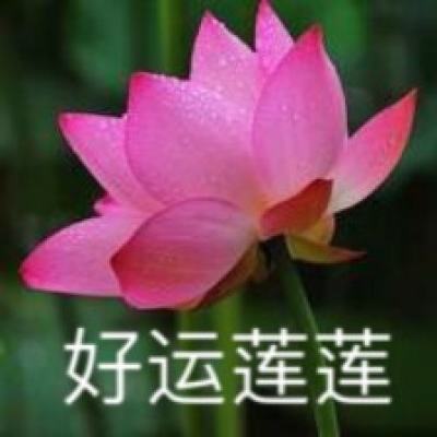 湖南衡阳：大学生暑期田间助农忙